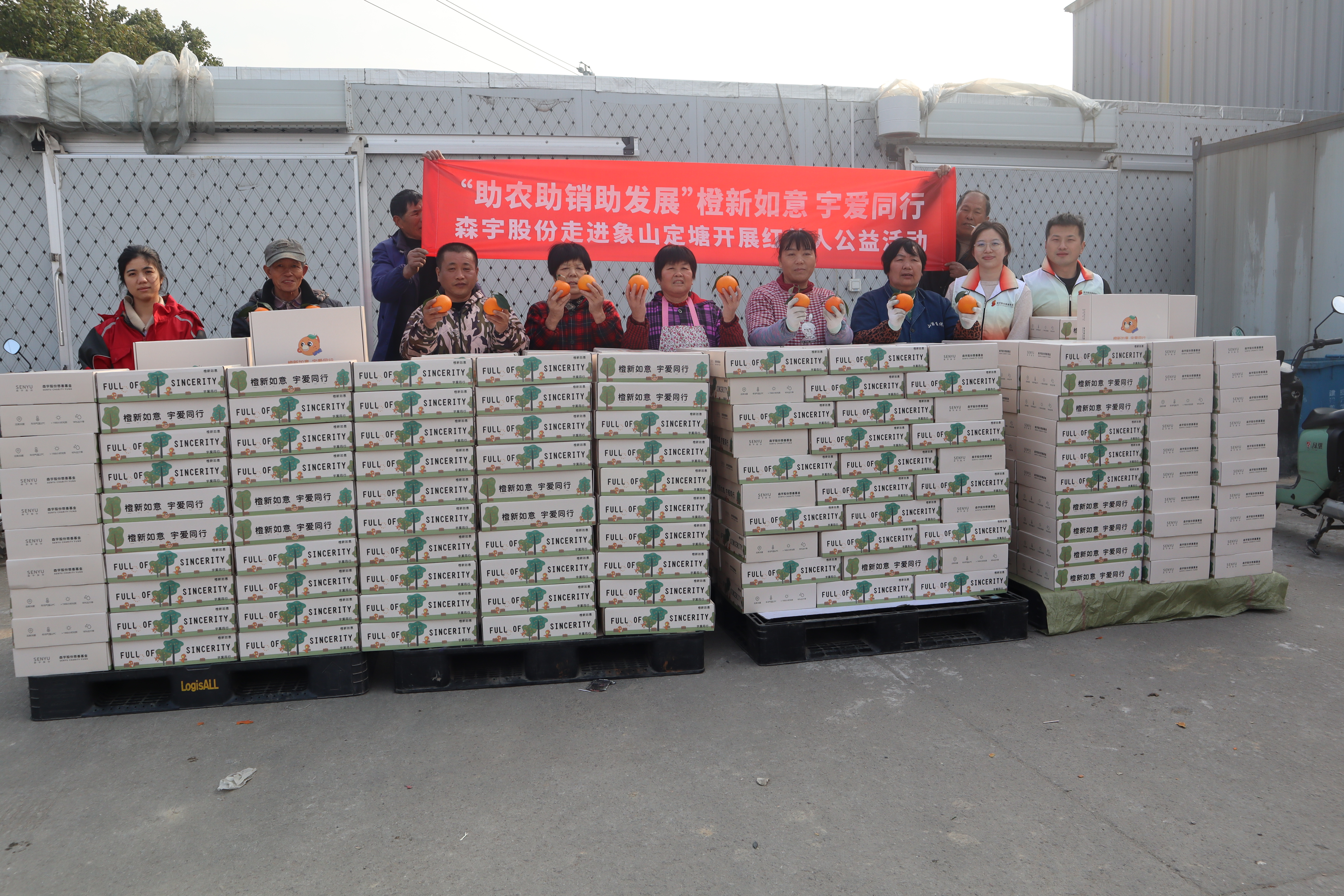 暖冬甜蜜丰收季 ky开元·(中国)善行助农新“橘”面